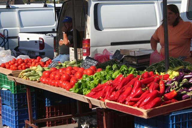 Fresh vegetables available at the market